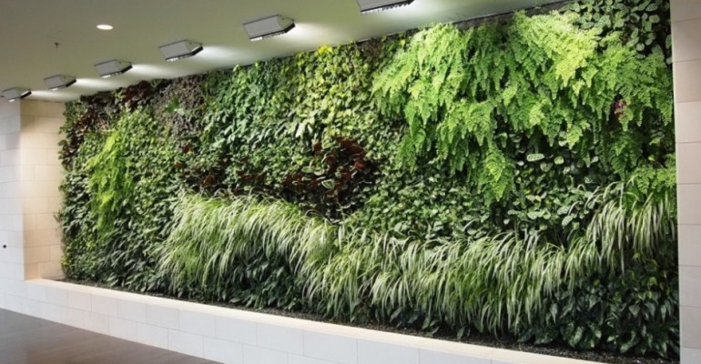 L'illuminazione artificiale delle pareti verdi da interno